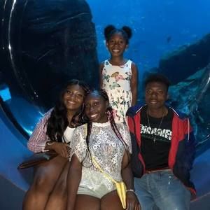 Meet your Posher, Tolga